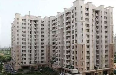  rosewood city Elevation