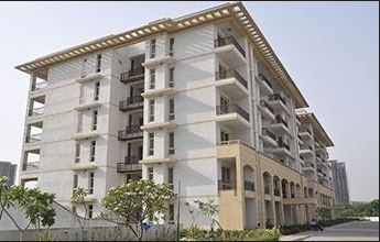 Elevation augusta-town-homes Elevation