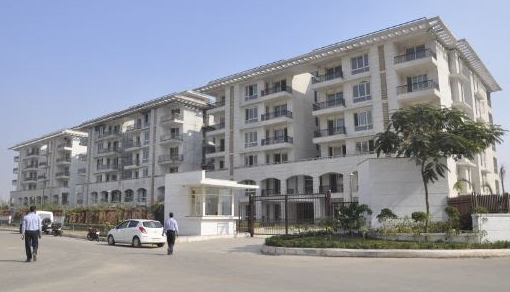 augusta town homes Elevation