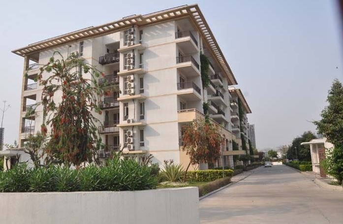Jaypee Augusta Town Homes
