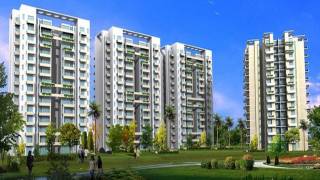 Project Image Project Image