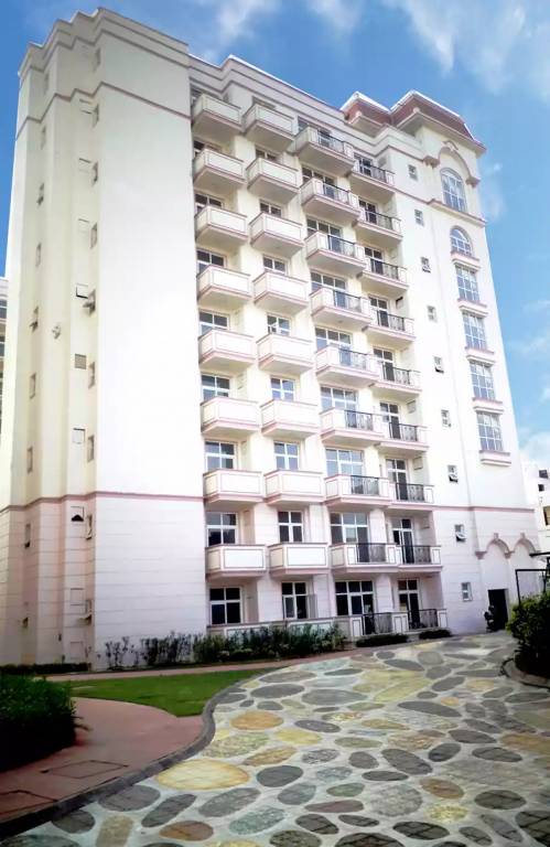  athens Images for Project