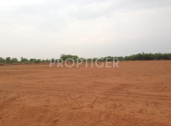 Images for Elevation of Transcity Trans Magnolia