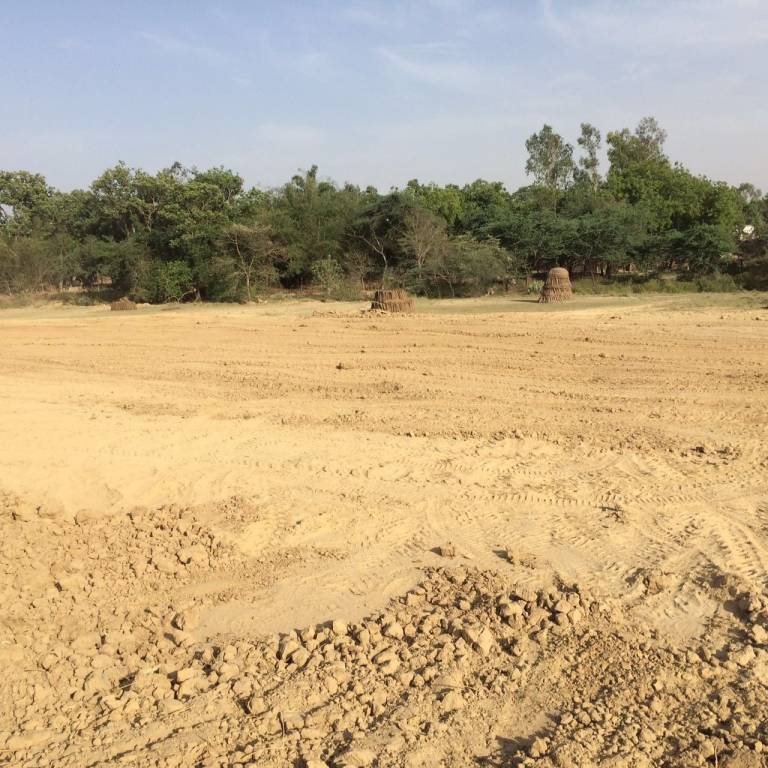 Images for Main Other of Paraiso Paraiso Greens