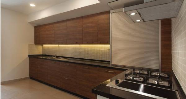 Images for Main Other of Spero Bougainvillea Images for Main Other of Spero Bougainvillea