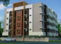 Everjoy Properties Classic