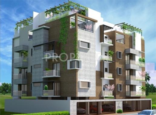 Nakshatra Upscale Platinum Picassa