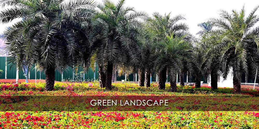  republic ews lig Landscape Garden and Tree Planting