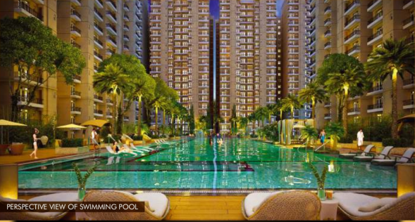 residency phase 2 Others