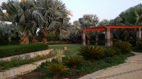  splendor-homes Landscaped Gardens