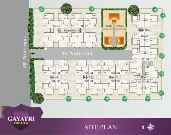 Master Plan exotica Master Plan