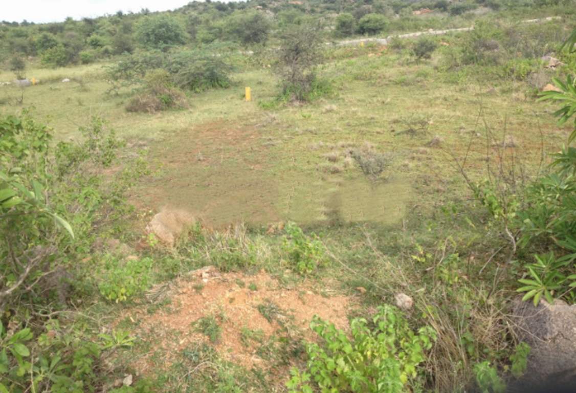  gold coast Images for Main Other of Suchirindia Infratech Gold Coast