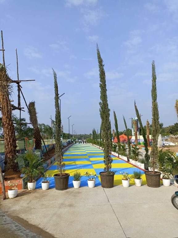  haritha vanam bhongir Landscape Garden and Tree Planting