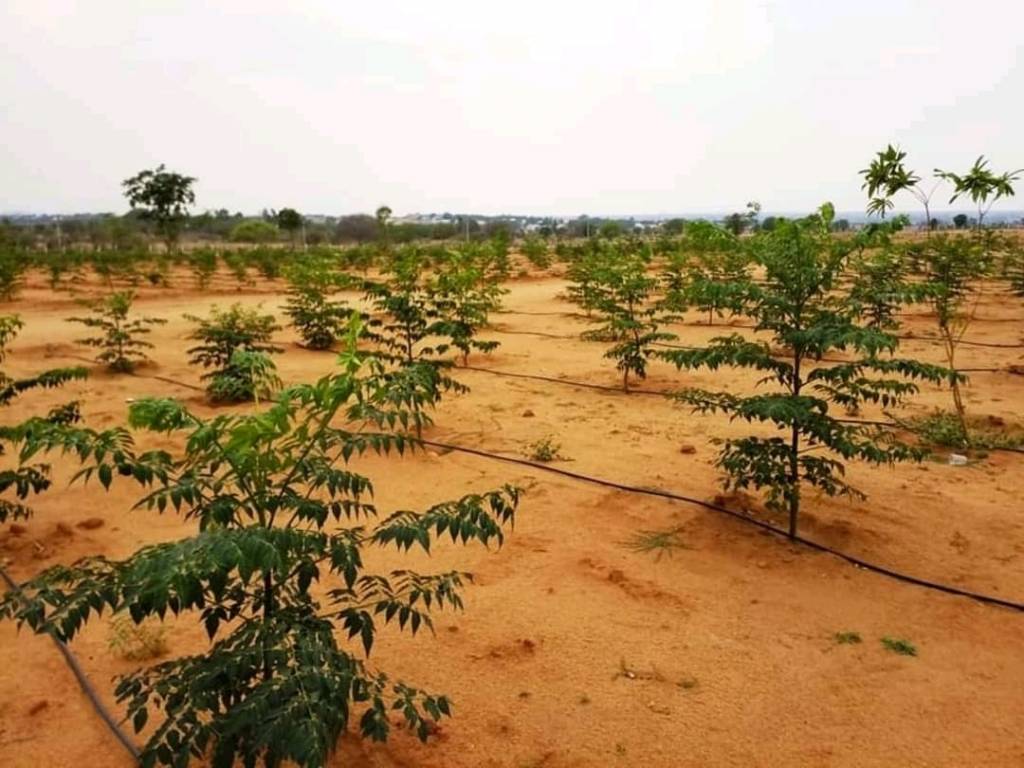 Images for Main Other of SpaceVision Green Acres