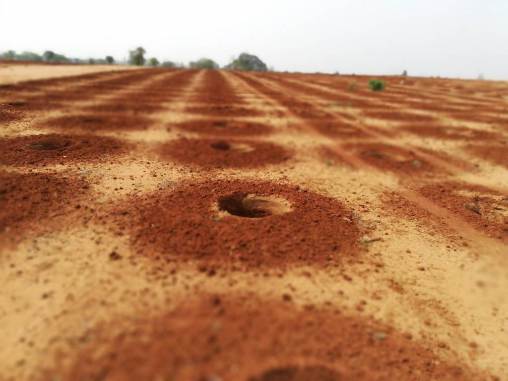 Images for Main Other of SpaceVision Green Acres