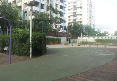  apostrophe-2 Basketball Court