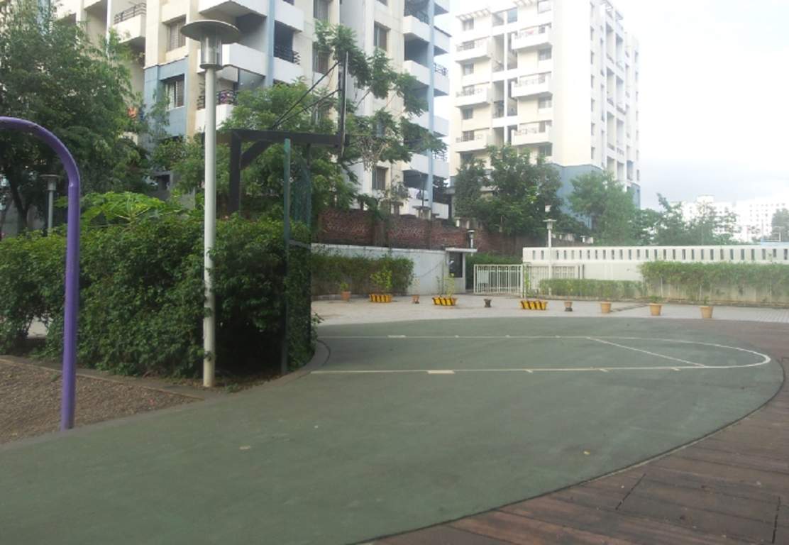  apostrophe 2 Basketball Court