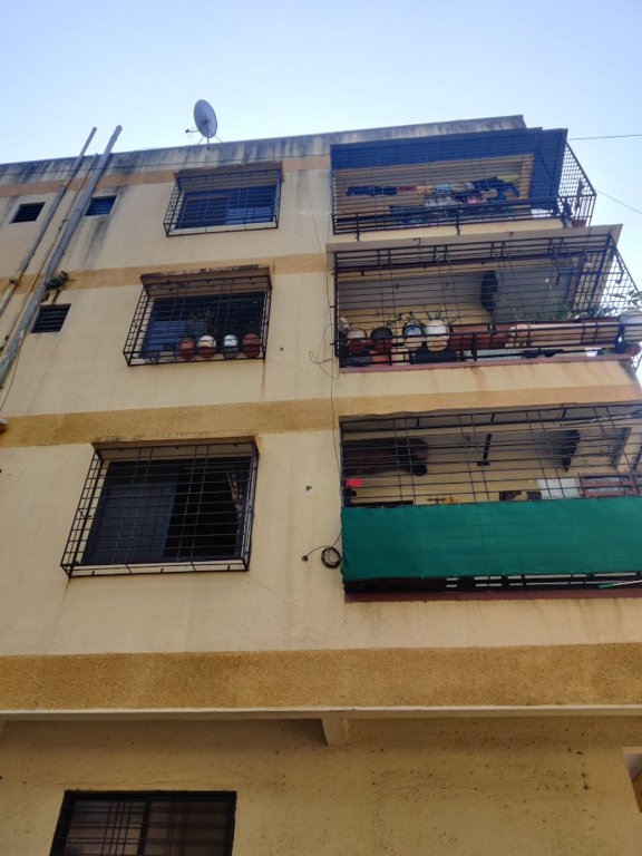  suman classic Elevation