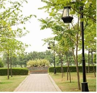 riverfront Landscaped Gardens