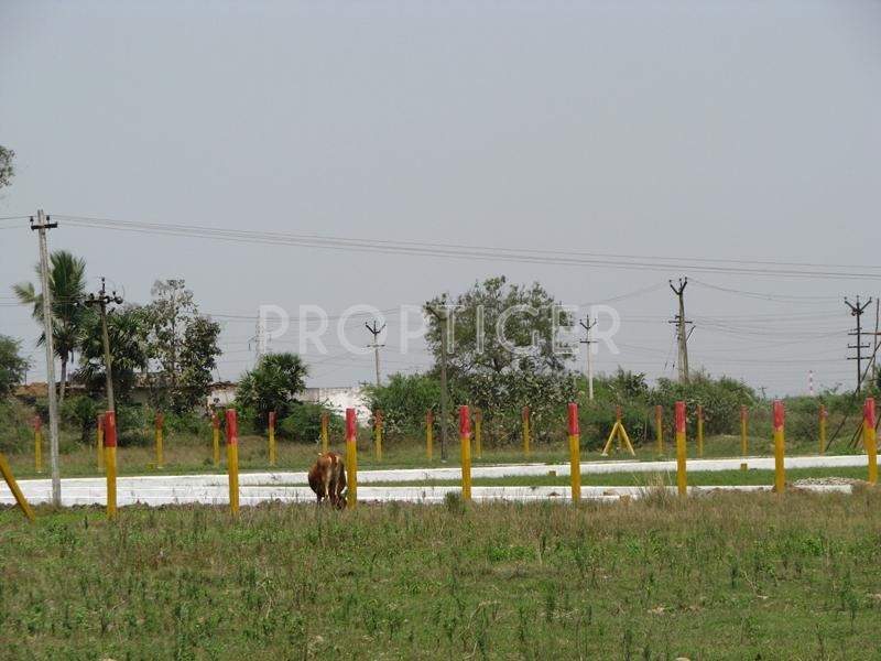 Images for Elevation of SM Sri Arunachala City