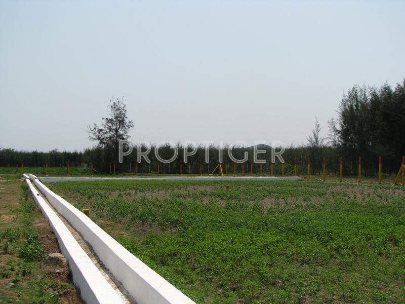 Images for Elevation of SM Sri Arunachala City