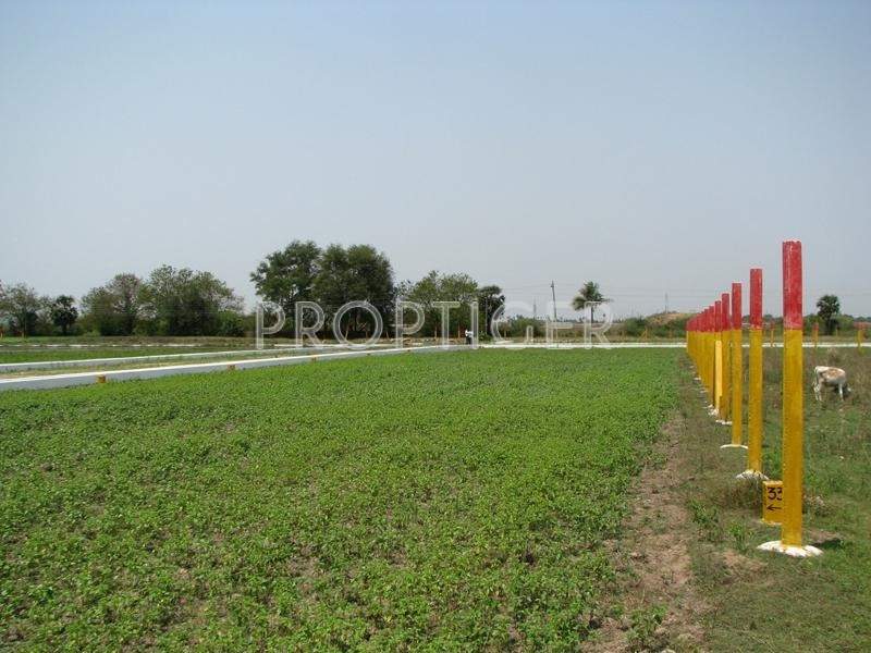 Images for Elevation of SM Sri Arunachala City