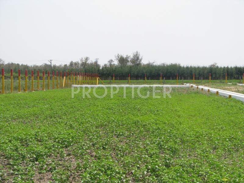 Images for Elevation of SM Sri Arunachala City