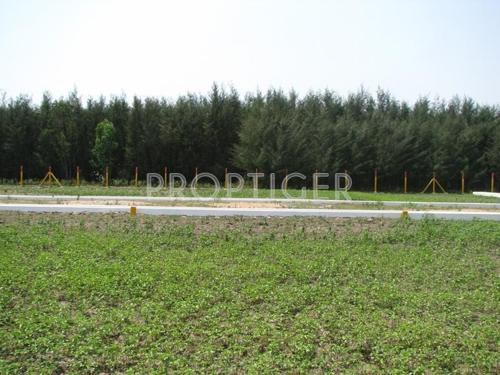 Images for Elevation of SM Sri Arunachala City