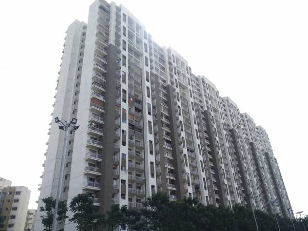  exotica Images for Project