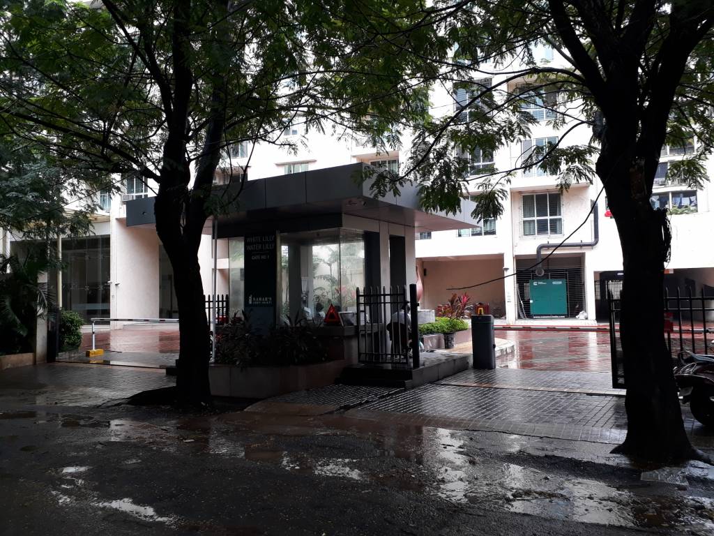 amrit shakti water lilly and white lilly Elevation