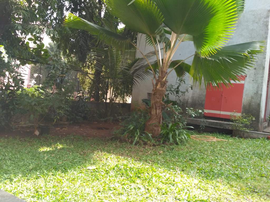  elegant Landscaped Gardens