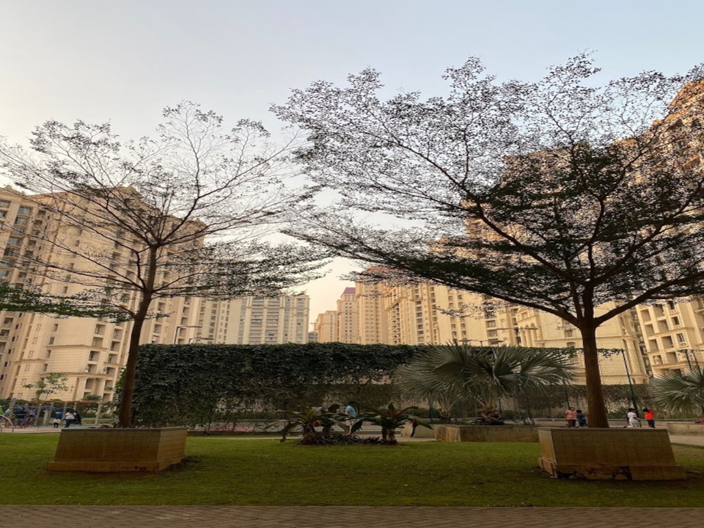 rodas enclave rose hill Elevation