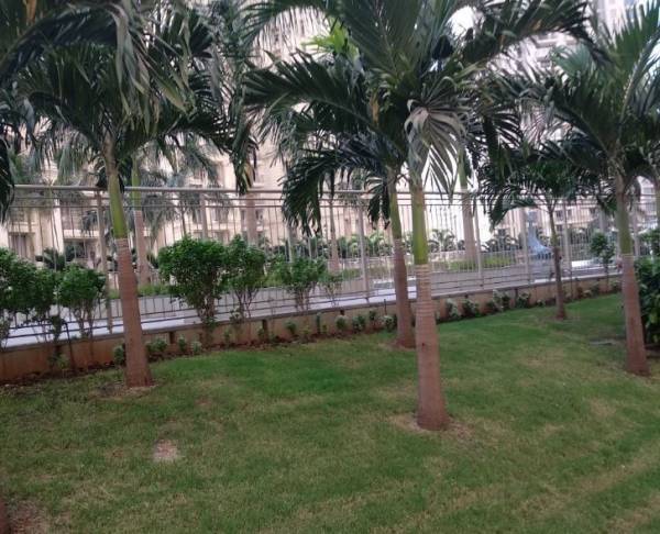 amenities of Hiranandani Rodas Enclave Rose Hill