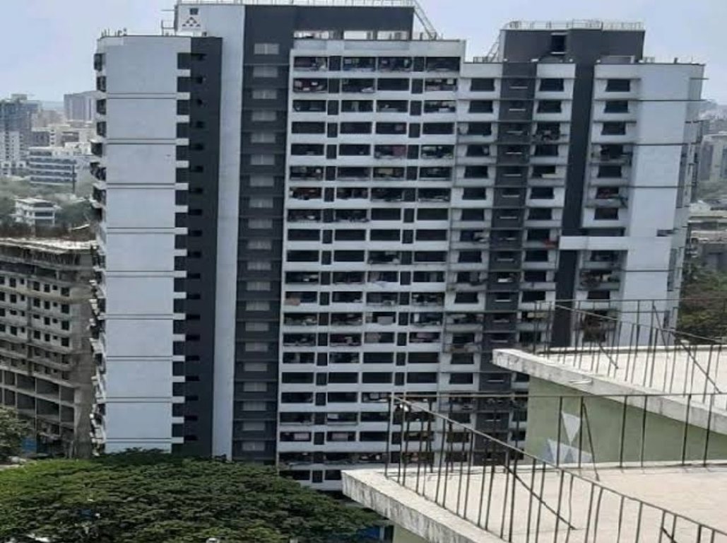  kaydee solitarie Elevation