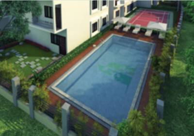  habitat Swimming Pool