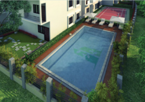 Swimming Pool habitat Swimming Pool