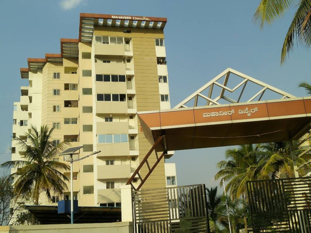  reddy mahaveer desire Elevation