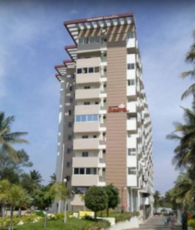  reddy mahaveer desire Elevation