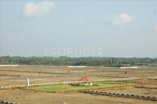 Project Image Project Image