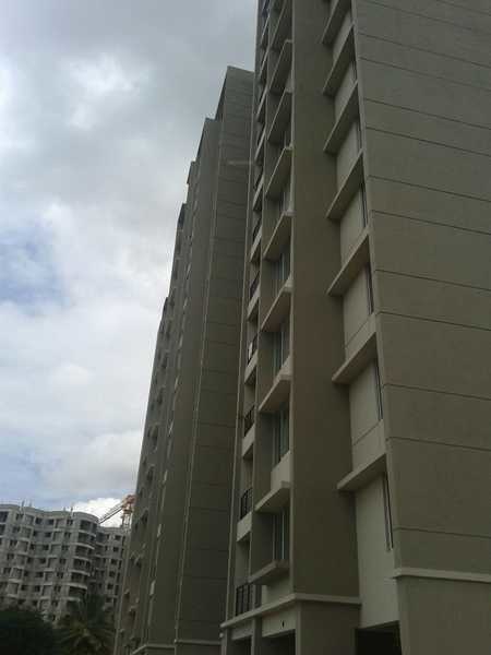 Elevation orchid-enclave Elevation