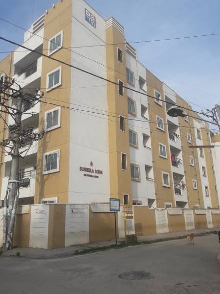  usheela-scion Images for Project