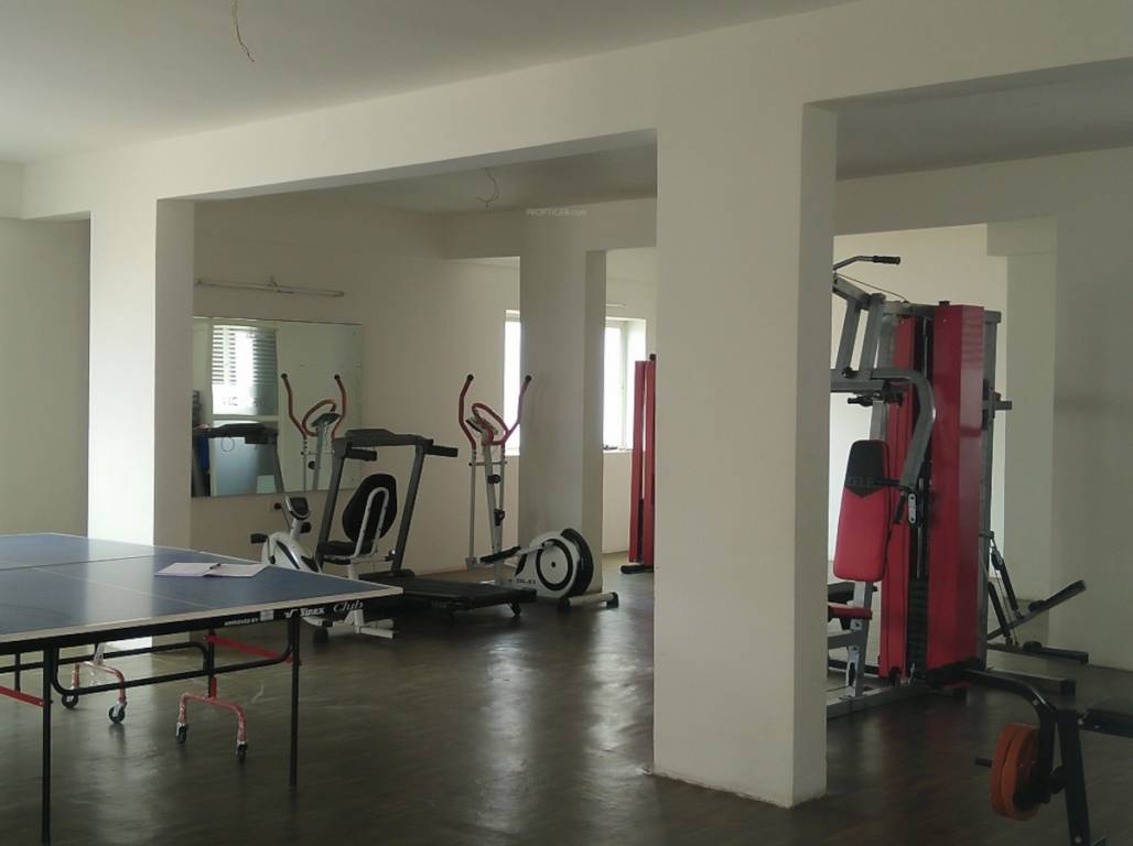  usheela scion Others