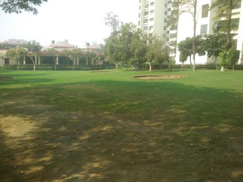 Landscaped Gardens cosmos-executive-apartment Landscaped Gardens