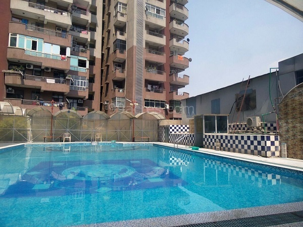 Swimming Pool greens Swimming Pool