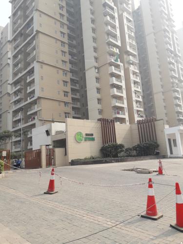  mywoods-marvella Images for Project