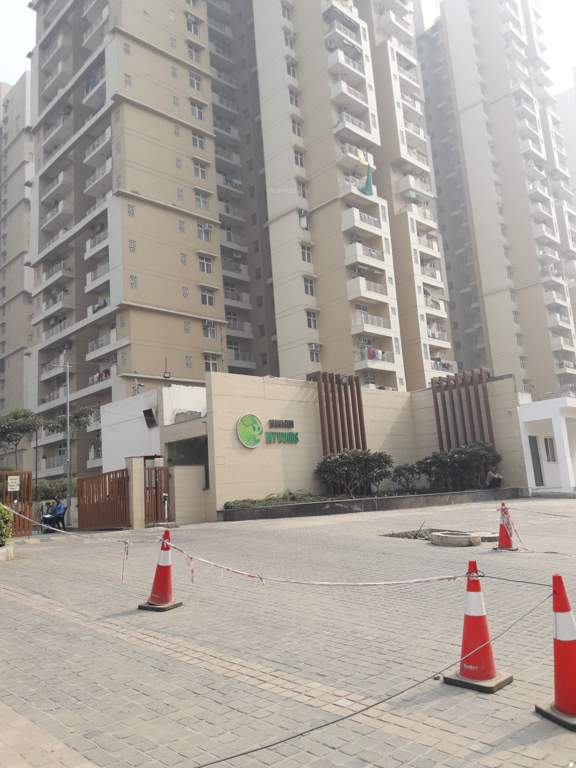  mywoods marvella Images for Project