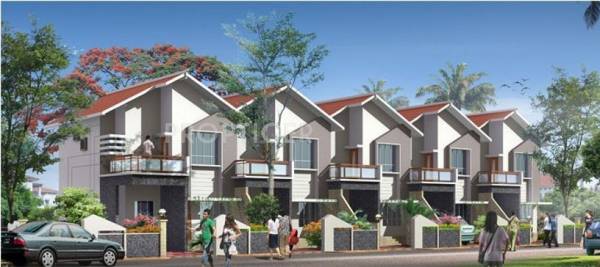 Images for Elevation of Disha Direct Palazzo