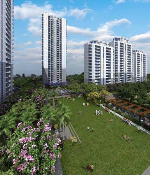  the-ultima Elevation