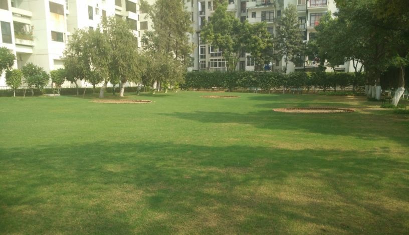  celebrity suites Others