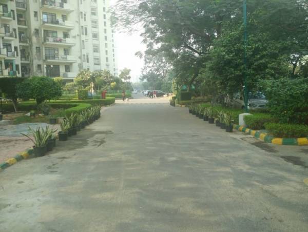  celebrity-suites Others